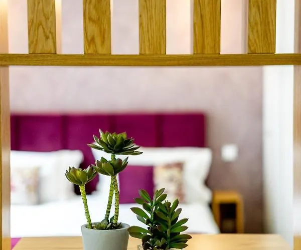 Appartamento Mouzinho 129 - Medronheiro & Oliveira *